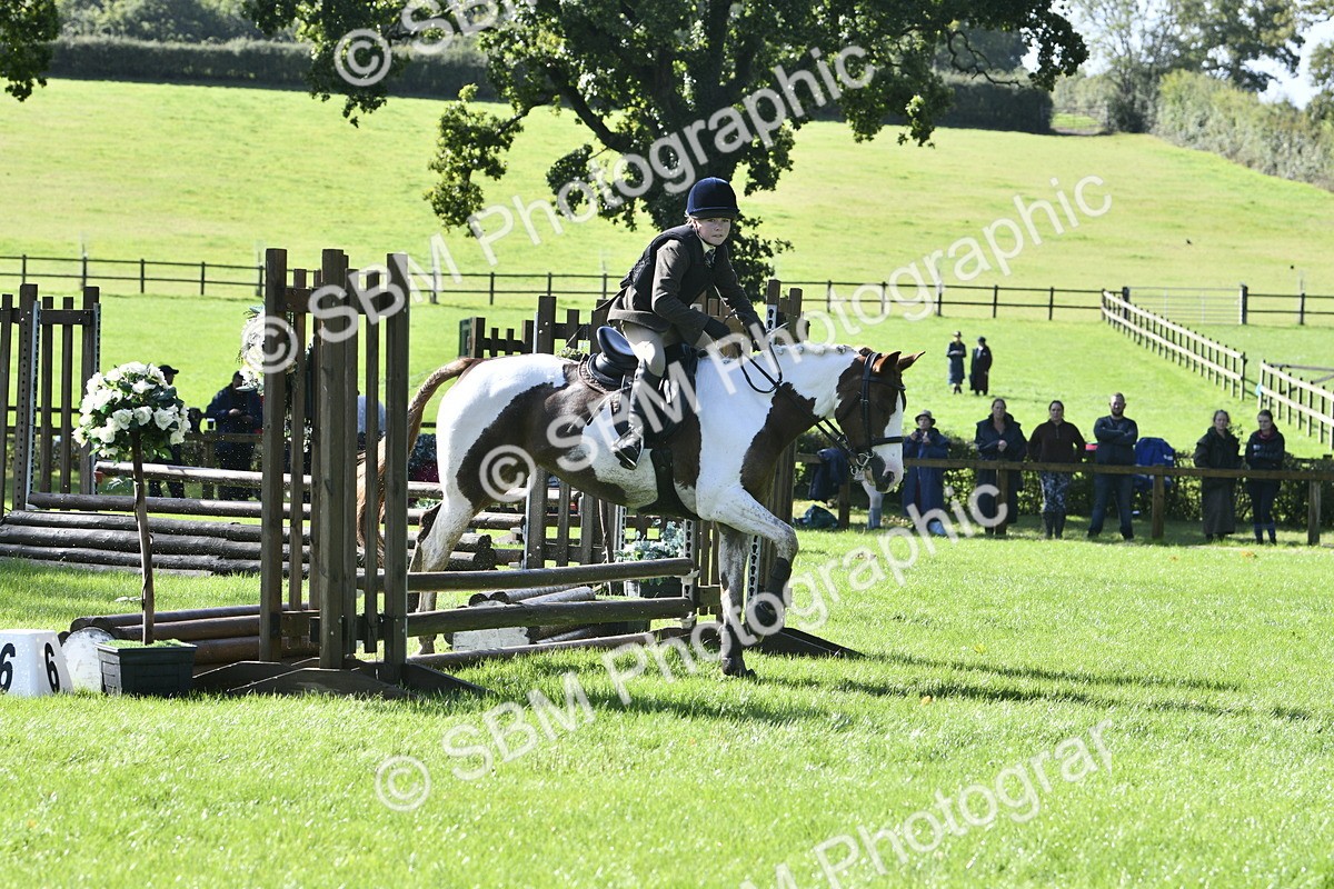 SBM_38186 - S31 - Novice & Newcomer Working Hunter Pony