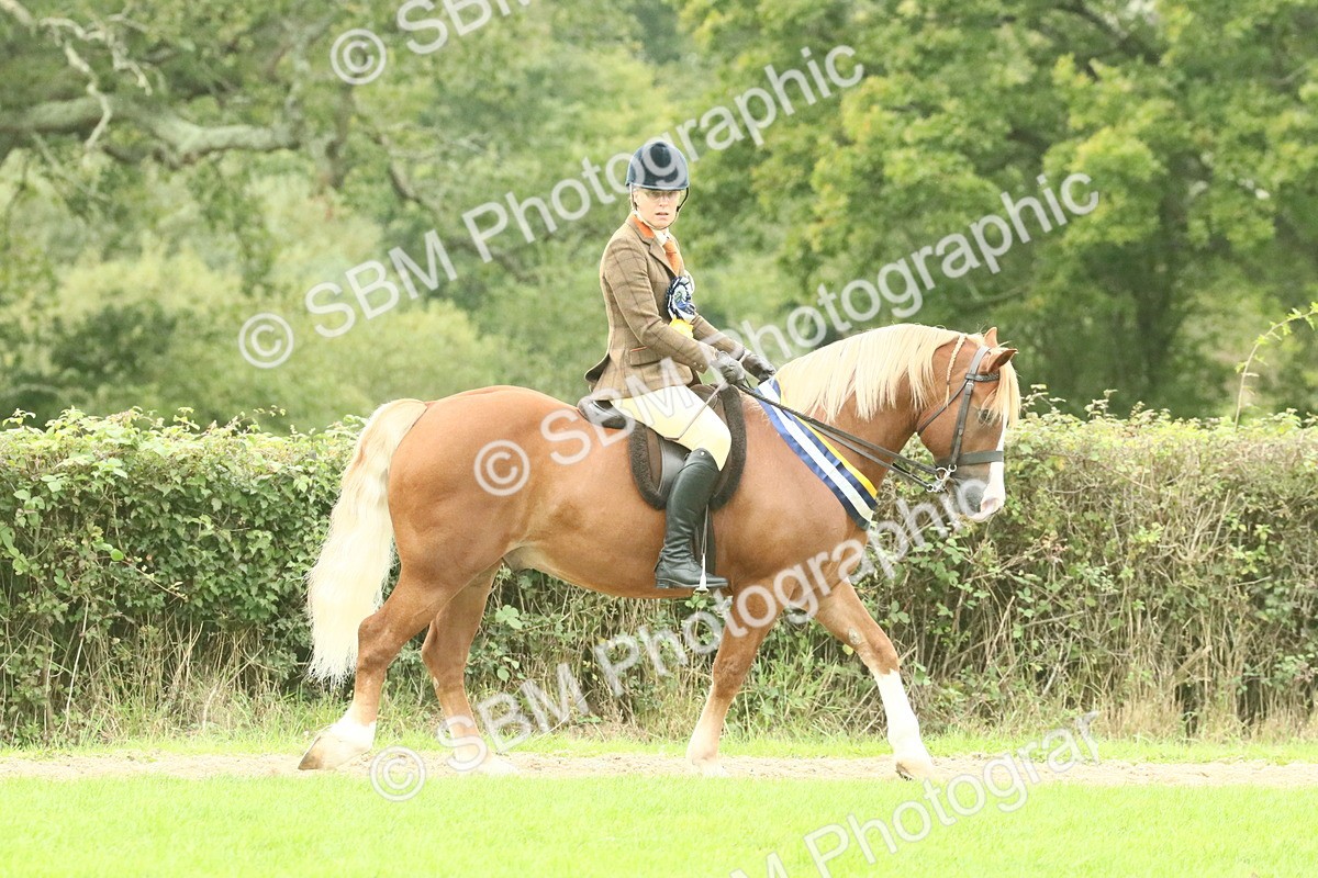 SBM_75139 - Super Supreme Championship