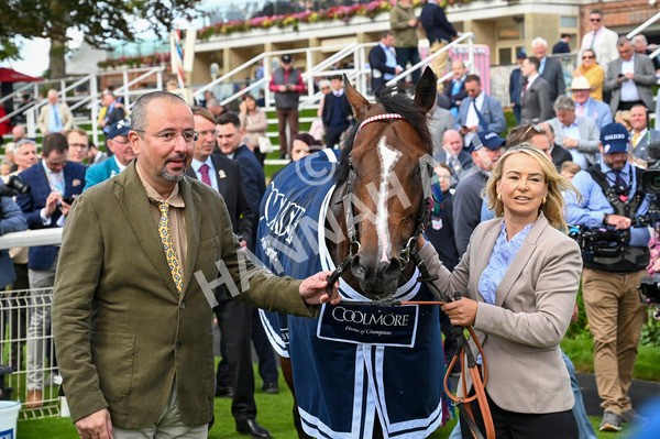 230824-Race 4-Bradsell-9157 - Race 4 3.35pm Coolmore Wootton Bassett Nunthorpe Stakes