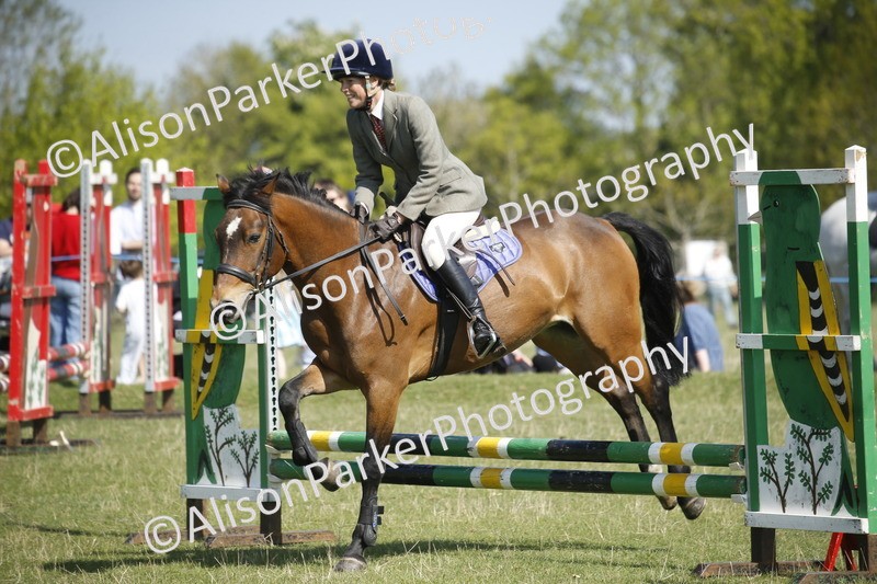 20250427-1985 - Class 13 - Novice Jumping 60cm