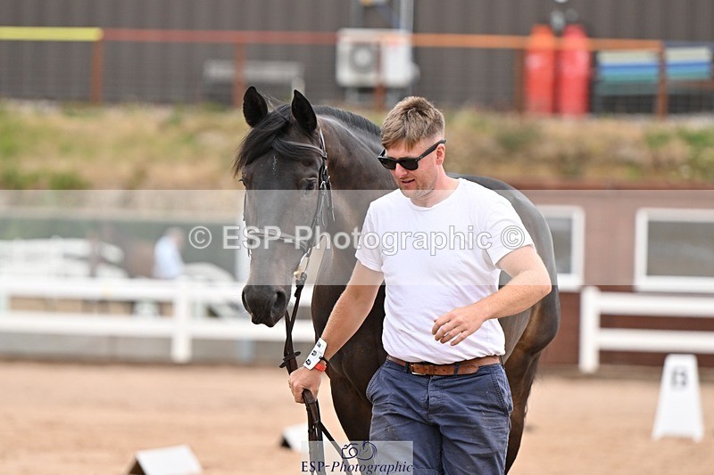 250716-160025-02335 - Trot Up 3.30 to 4.30