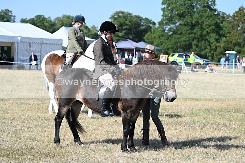 WJ7_2873 - Class 8 Ridden Tack & Turnout