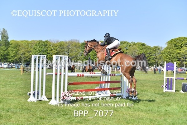BPP_7077 - CLASS 2 The Ron Brady Sporthorses RHS Classic Championship Qualifier