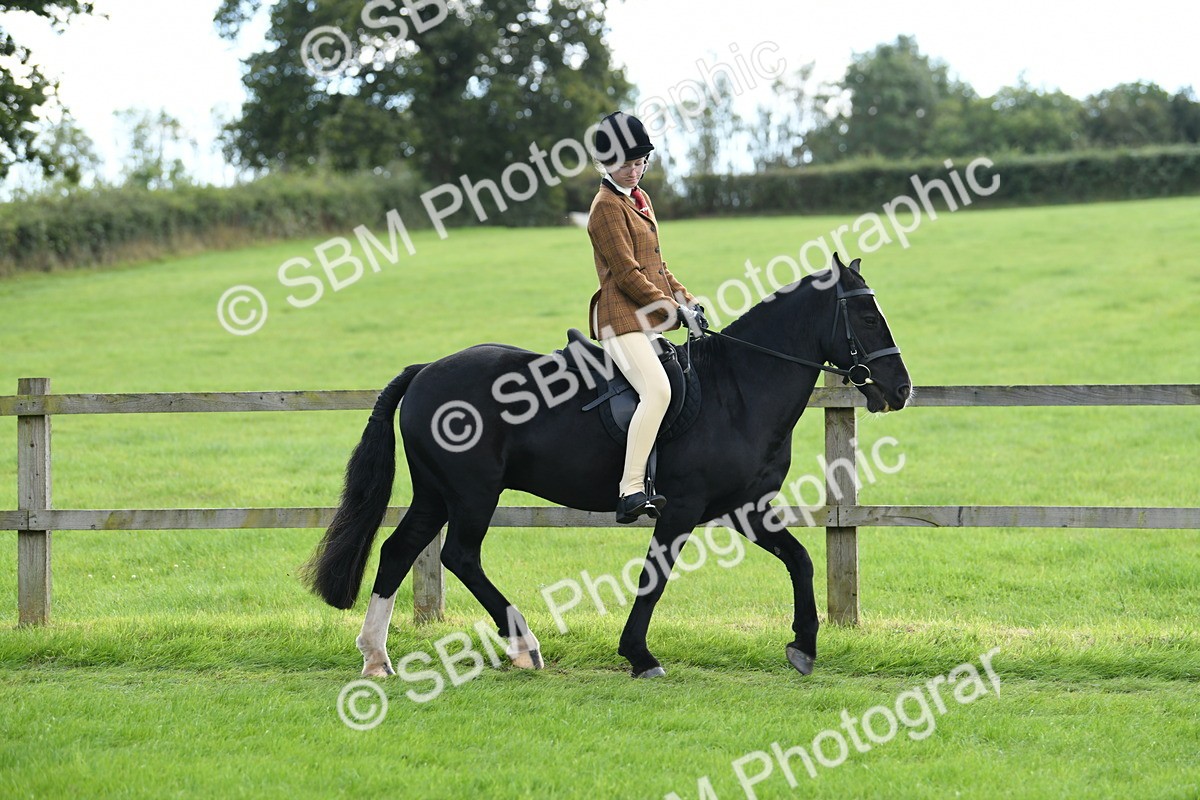 SBM_46738 - S12 - Family Horse & Pony