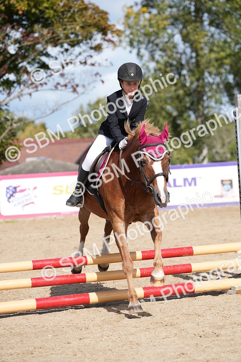 SBM_17998 - J58 - Clear Round 50cm
