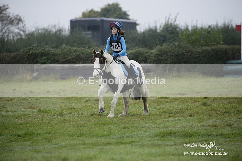 WWHT 171021 0135 - Novice Restricted (0.80m)  17/10/21