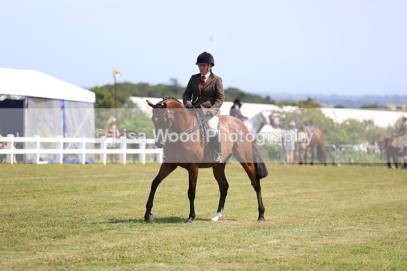 3E7A9374 - Class 12: Open Racehorse to Show Horse