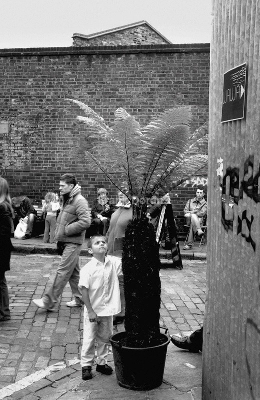 columbia Road 5 - Frank Doran