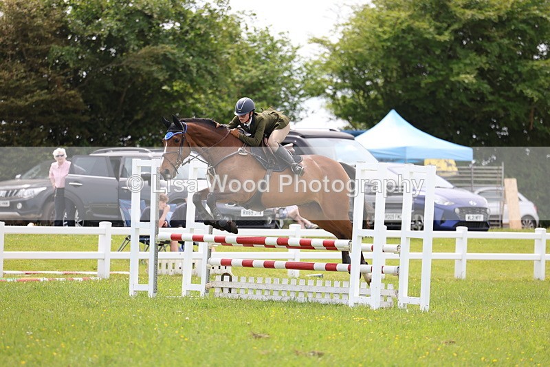 3E7A1617 - Class 13: Senior British Novice/90cm open