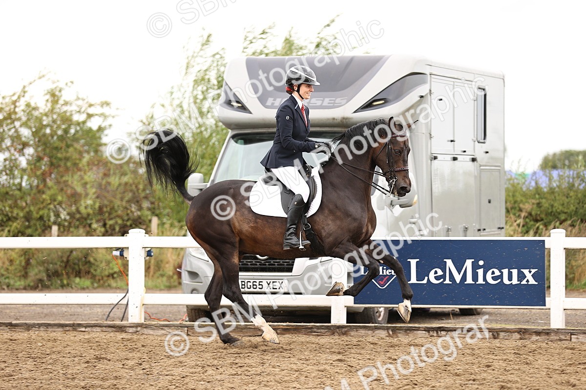 SBM_01350 - Class 54 - Riding Club Horse Pony