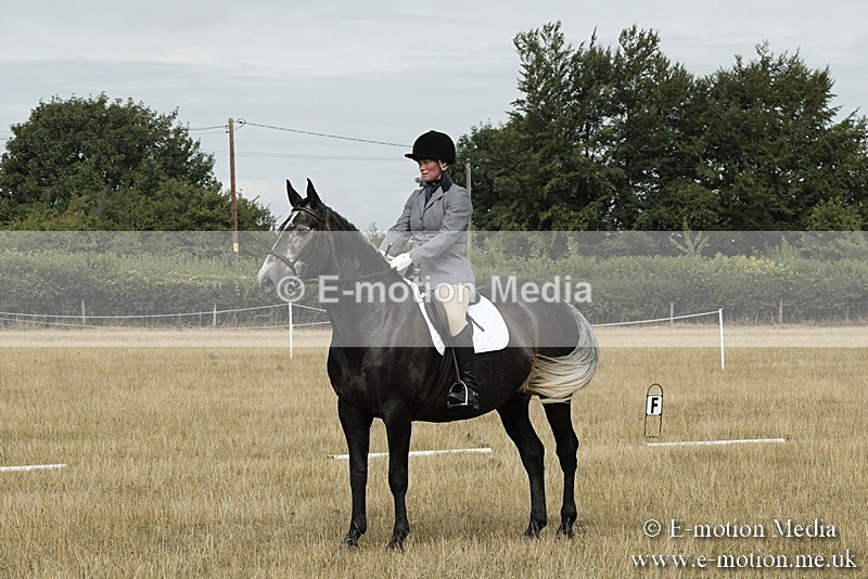 _PJP5630 - Dressage Classes BVRC Show 2018