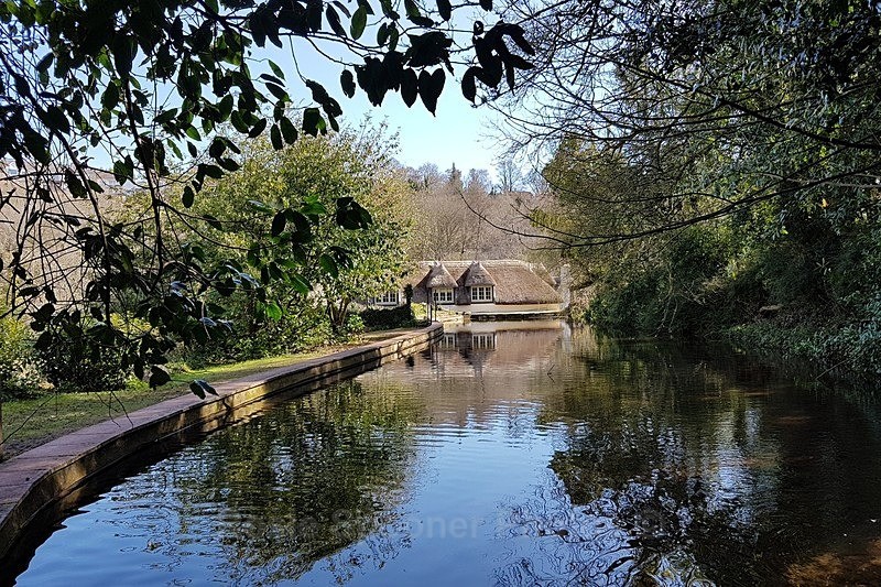 The pond by the Waterwheel - Cockington
