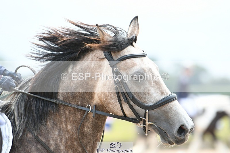 250807-132254-01139 - 80cm Round 2