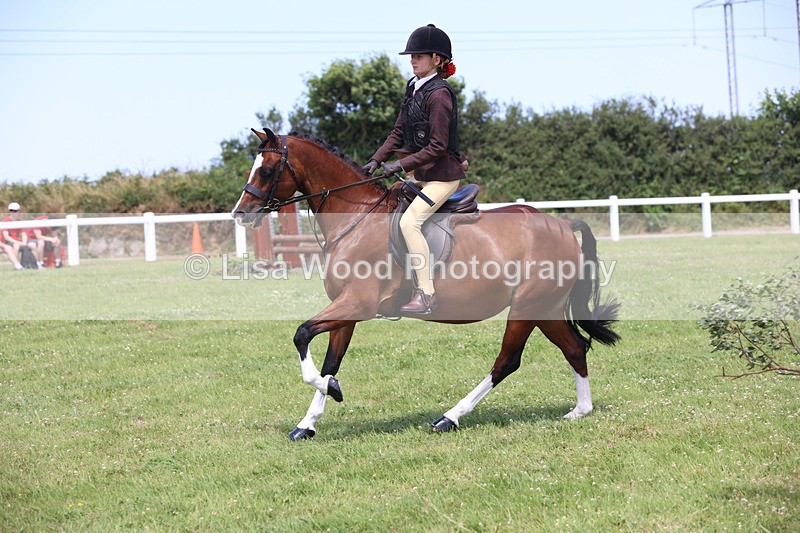 JPP_2629 - Class 21: Working Hunter 60cm