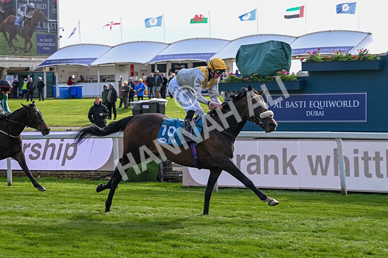 140526-Race 7-Arc Ole Ole-6033 - Race 7 5.15pm Frank Whittle Partnership Handicap