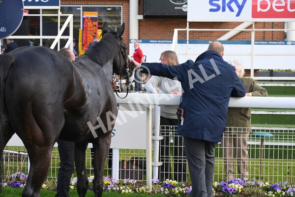 yr12052021r7-47 - Race 7 4.50 pm Conundrum HR Consulting Stakes