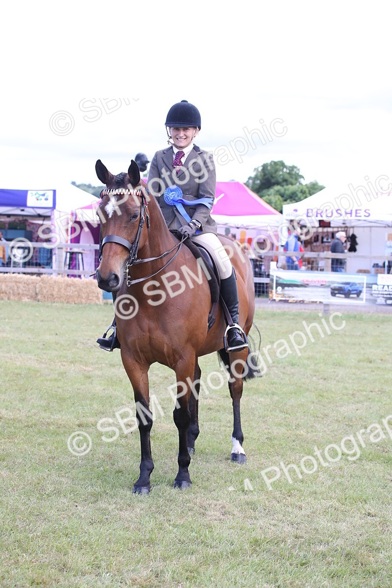 SBM_13270 - Class 95-96 - LIHS BSHA Rising Star Hack Riding Horse