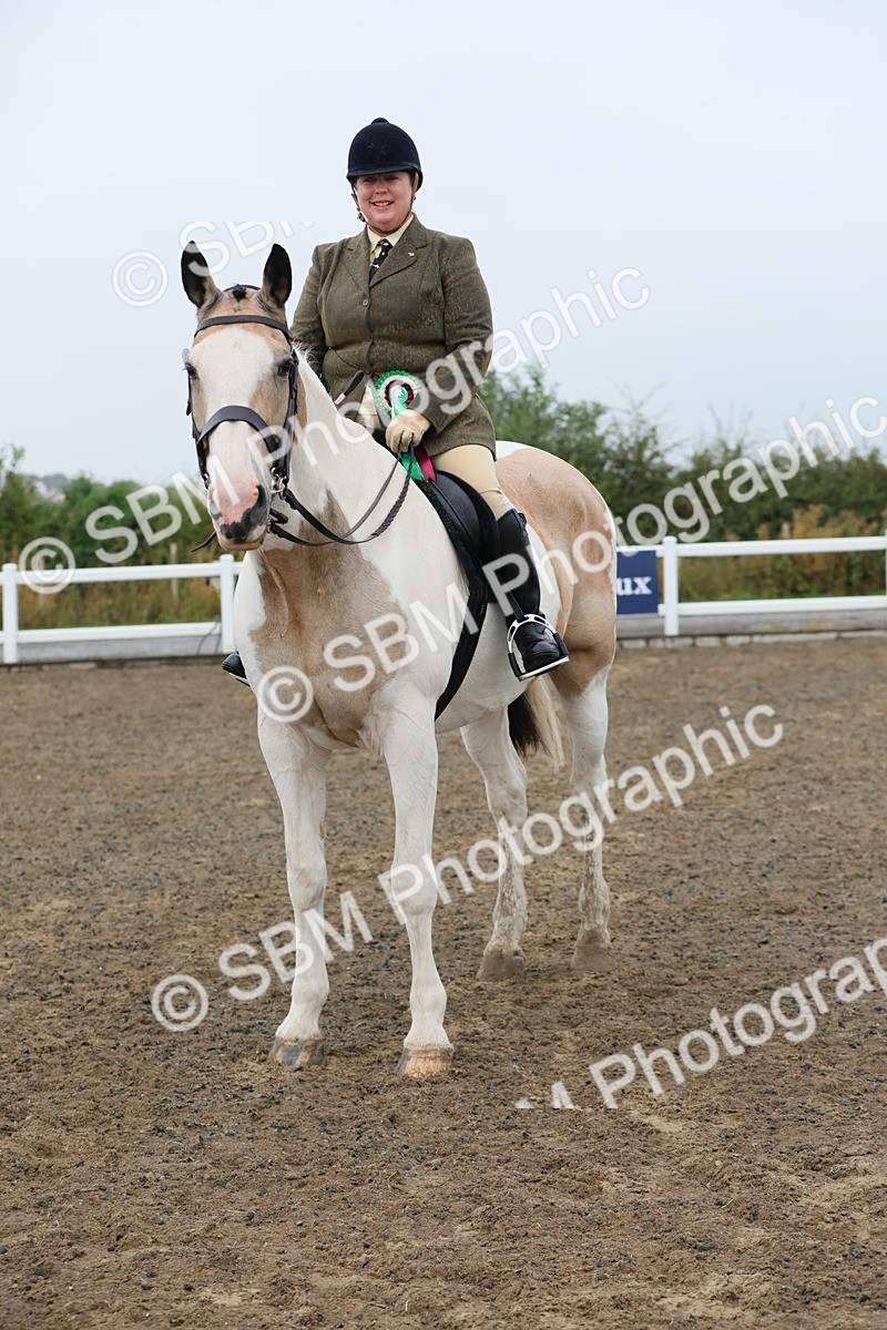 SBM_20389 - Class 803 - Ridden Combination 65+