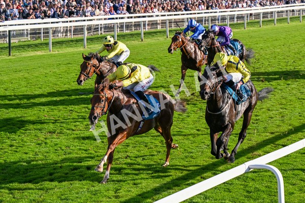 111025-Race 5-Morshdi-0551 - Race 5 Coral 'We're Here For It' EBF Maiden Stakes at York