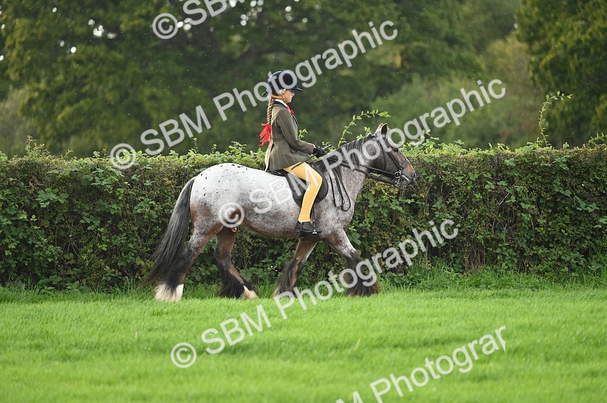 SBM_26588 - S7 - Novice & Newcomer Ridden Pony