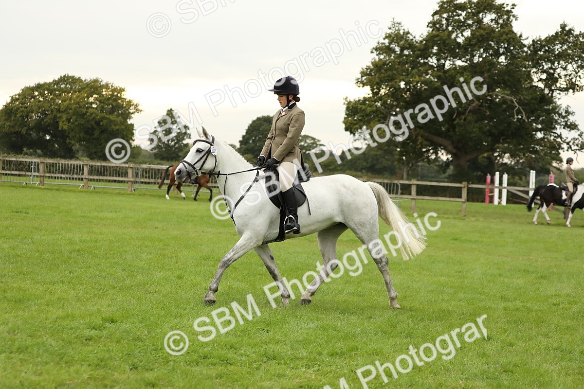 SBM_73699 - S41 - Ridden Equitation (Best Rider)