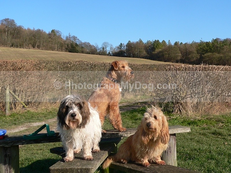  - Group Shots