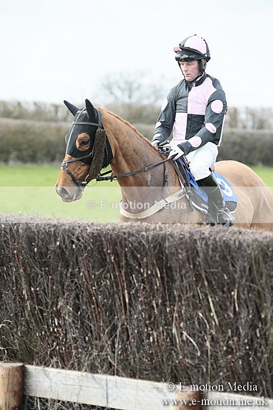 PtP 230319 202 - VWH Hunt Siddington Point-to-Point Racing 23/03/19