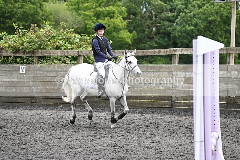 WJ6_0041 - Class 13 Novice 60cm