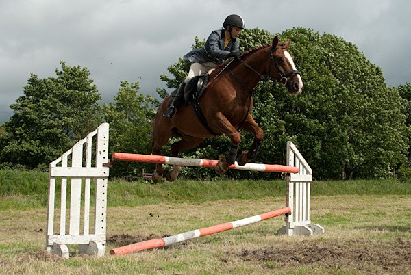 15 - Moniaive Horse Show 2010