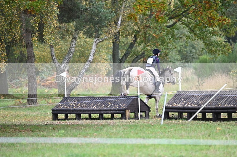 WJ6_4132 - 90cm Cam 1 Time 14:05 to 14:35