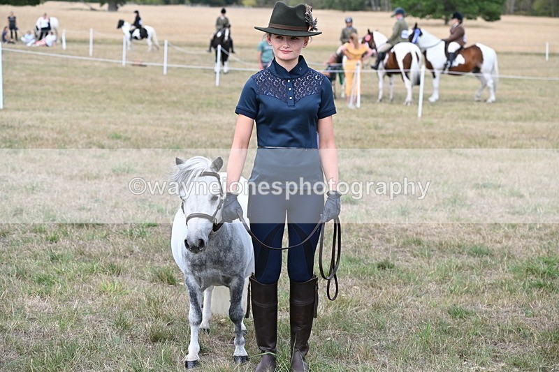 WJ6_7092 - Class 21 Shetland & Mini Horses