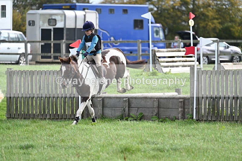 WJ7_8445 - 60cm Pairs