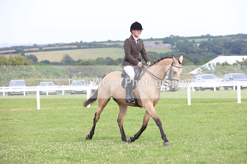 JPP_4496 - Class 26: Working Hunter 1m