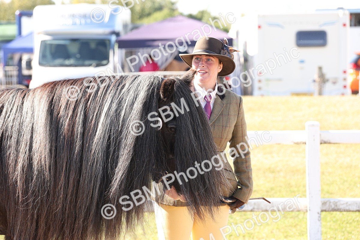 SBM_12929 - Class 206 - IH Non Show Type Pony