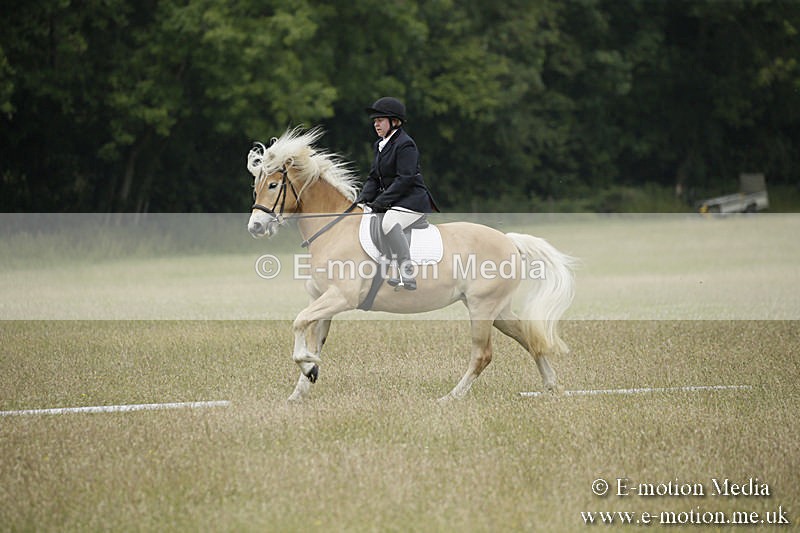 B230619-0609 - Bourne Valley Riding Club Summer Show 23/06/19