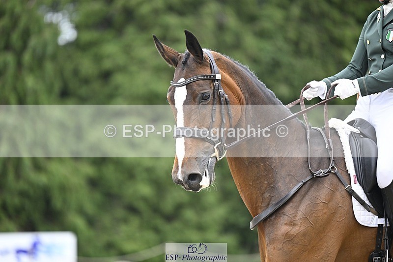 240523-153250-05244 - 436-IRENE_LEVA-Susie_Berry