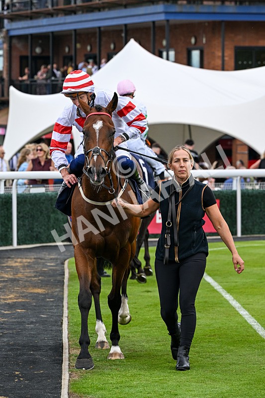 040726-Race 6-Highland Olly-5394