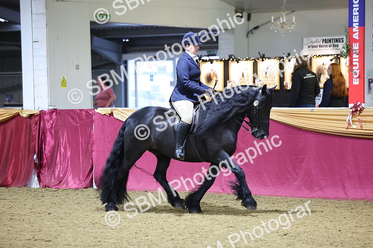 SBM_19278 - Class K Equitation Champ
