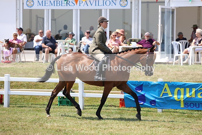 3E7A9300 - Class 12: Open Racehorse to Show Horse