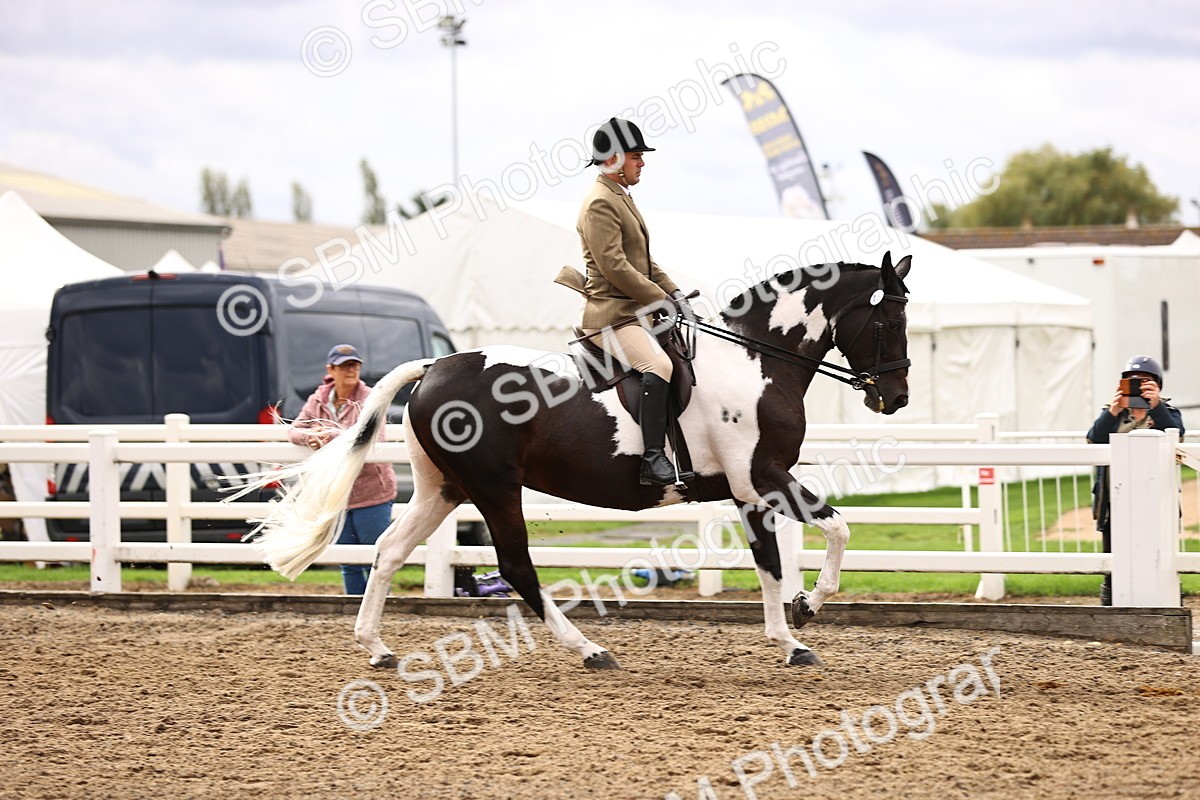 SBM_00561 - Class 53 - Ridden Competition Horse Pony
