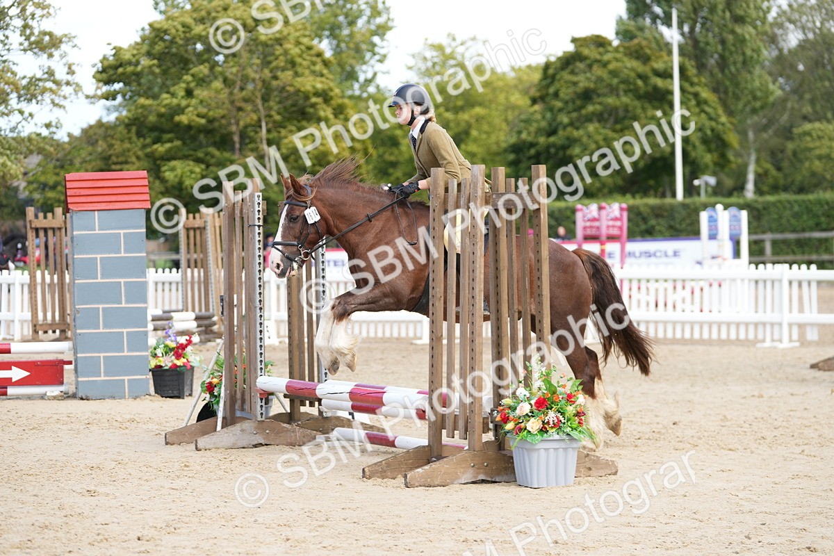 SBM_21298 - J49 - Open 50cm