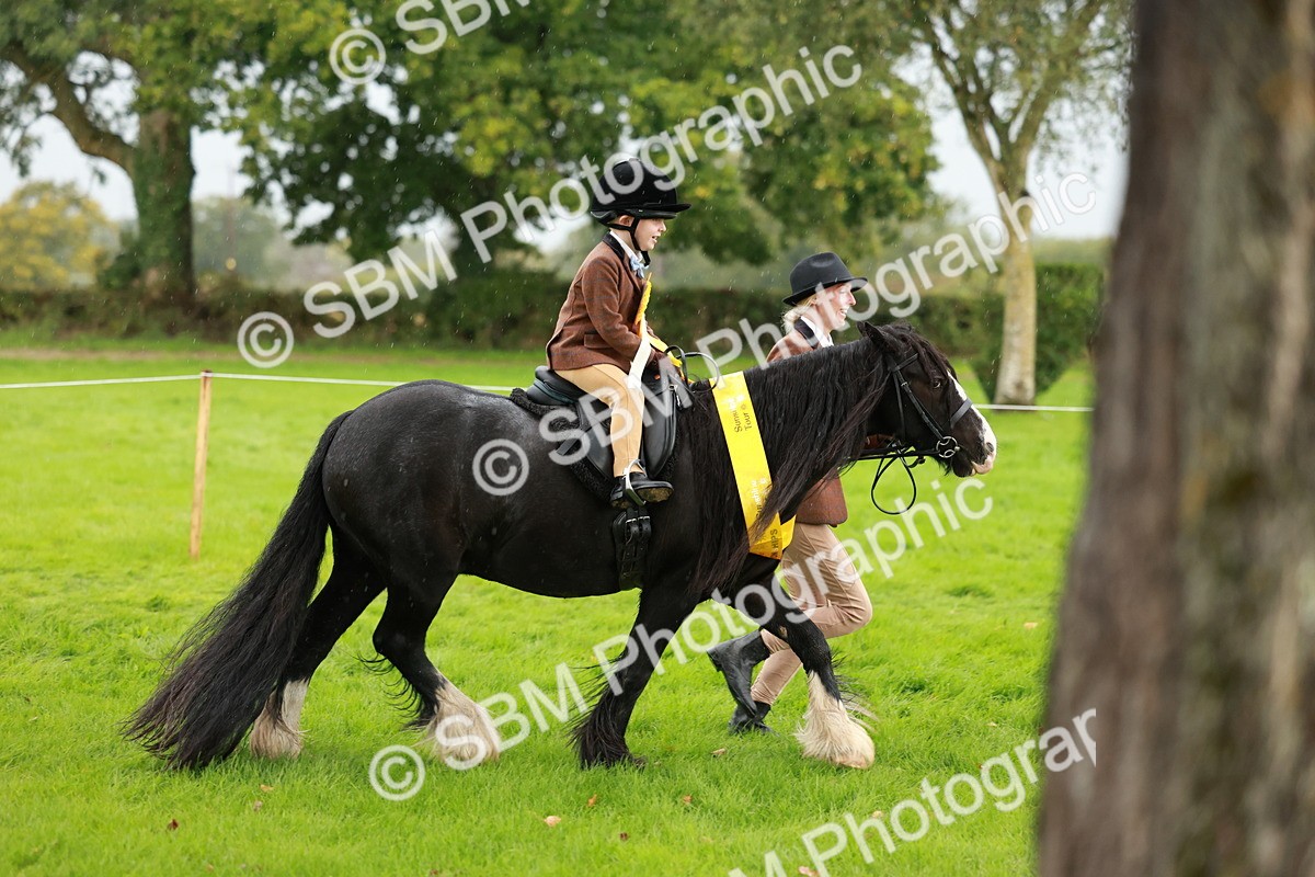 SBM_33819 - S9 - Lead Rein Equitation