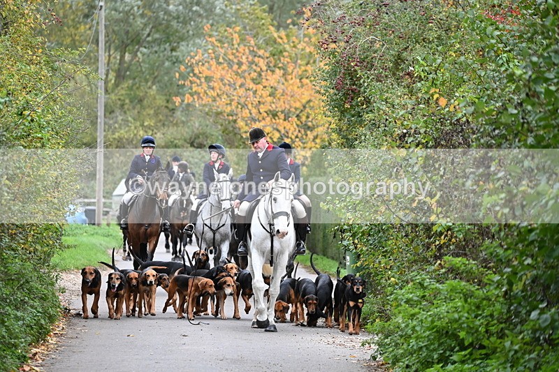 WJ6_8311 - Walk Home..