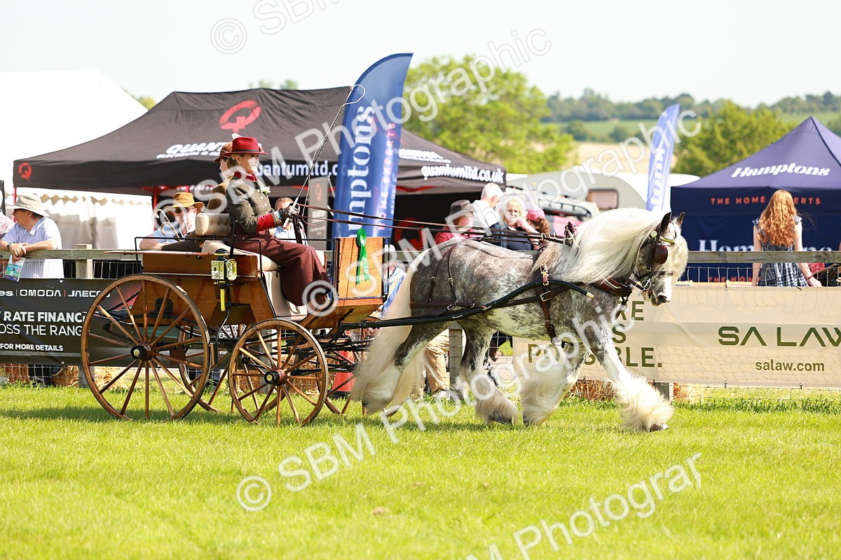 SBM_02758 - Class 2-4 - HOYS Private Driving