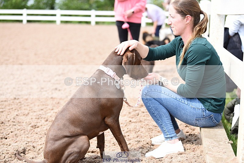 240518A-115148-00846 - Cls 2 Prettist Bitch