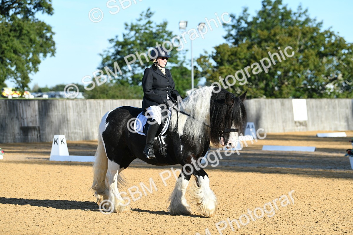 SBM_14480 - D4 - Small Tour Championship - Intro B