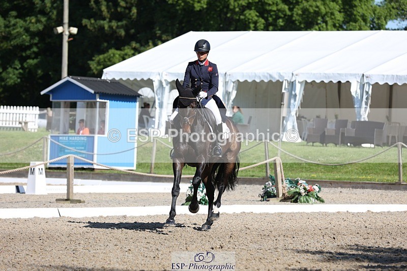 230526-092940-05080 - 355-JASON_KING-Izzy_Taylor-WEDTrotUp+DR