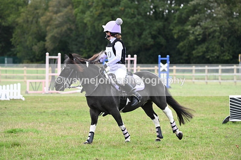 WJ6_0344 - 40cm Time 10:00 to 10:28