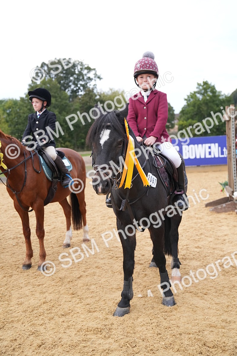 SBM_74922 - J4 - Mini Tour Junior Pony 45cm Championship