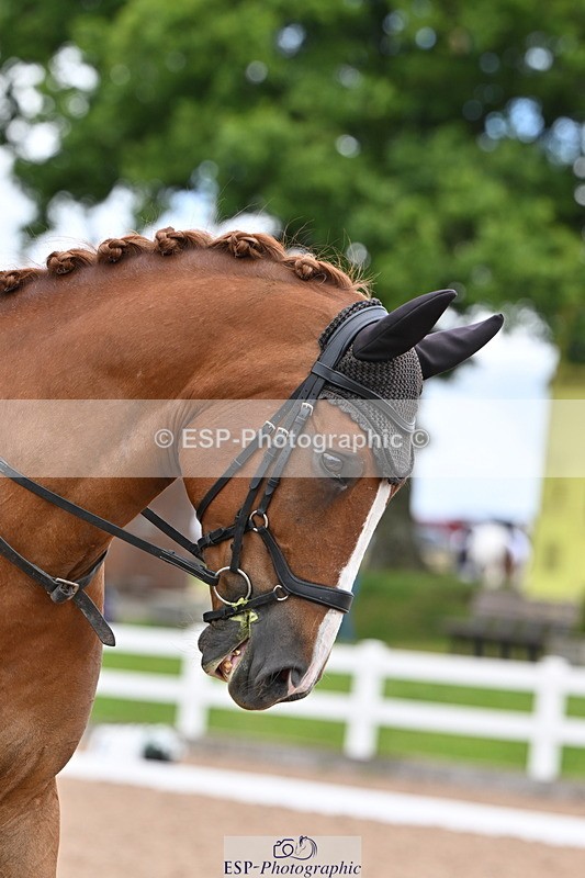 240622A-131131-10483 - Cls 29 BD Elementary 45